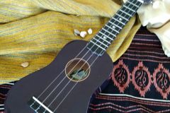 C95-SYMBOLE-guitare