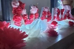Ap.-Maria-3