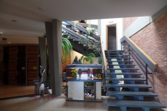 SAMSUNG CAMERA PICTURES