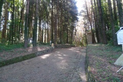 SAMSUNG CAMERA PICTURES