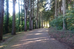 SAMSUNG CAMERA PICTURES