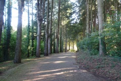 SAMSUNG CAMERA PICTURES