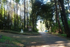 SAMSUNG CAMERA PICTURES