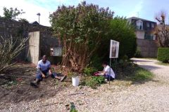 art_BS_Jardinage