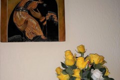 les-roses-devant-de-Notre-Dame