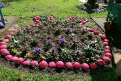 124027121_728652814408883_205057778842562882_n