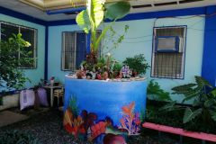 124099719_351357789501403_1937574045396254186_n