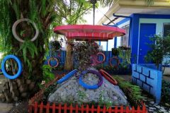 124489890_2869256616641064_7806999269431192089_n