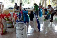 the-preparation...