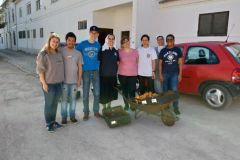Voluntariado1