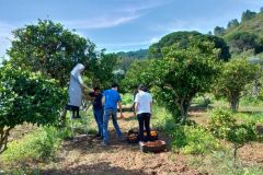 Voluntariado2