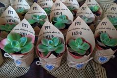 IMG-20201122-WA0014