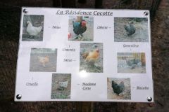 Residence-Cocottes2-Copie