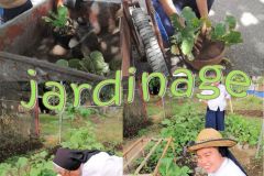 jardinage-2