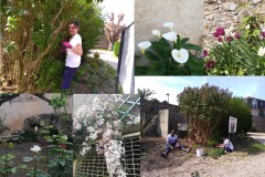 jardinage-1