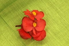 ESPERANCE...-SIGNE-DE-VIE.