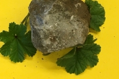 LOURDEUR-..-ESPERANCE