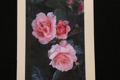 PASSE...-PRESENT...-AVENIR