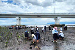 mangrove-planting-2025-4