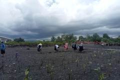 mangrove-planting-2025-7