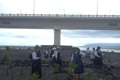 mangrove-planting-2025-9