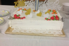 IMG-3381