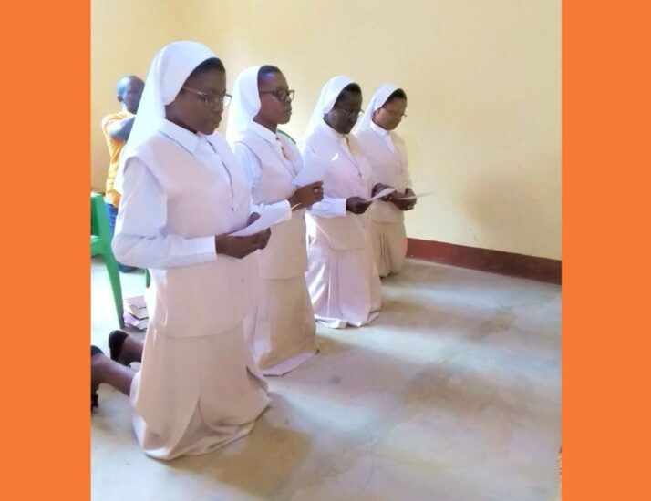 Provincia de Moçambique