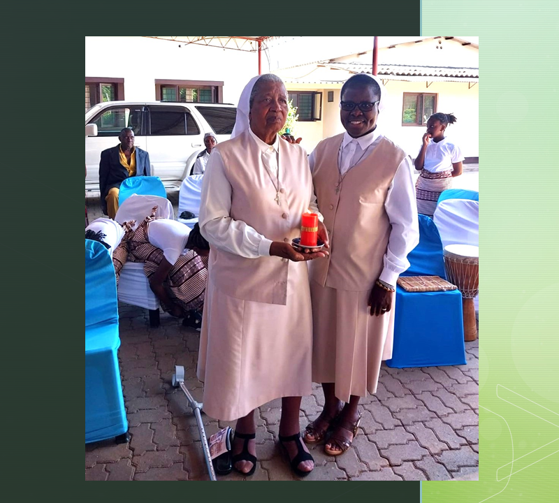 Provincia de Mozambique