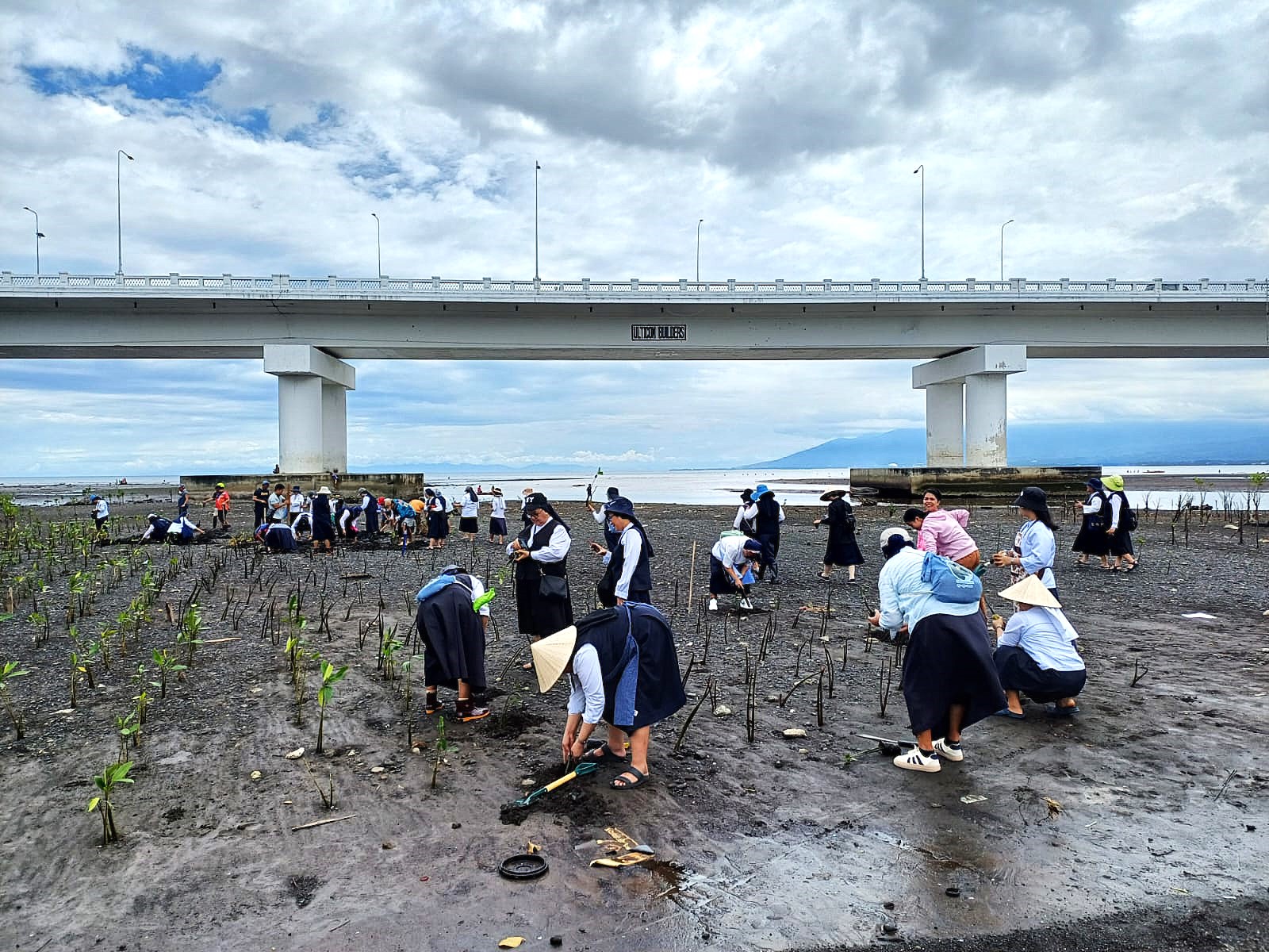 MANGROVES OF HOPE