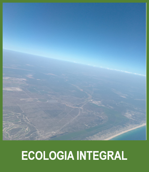 INTEGRAL ECOLOGY